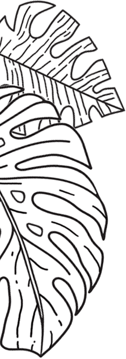 Bloom Republic liść