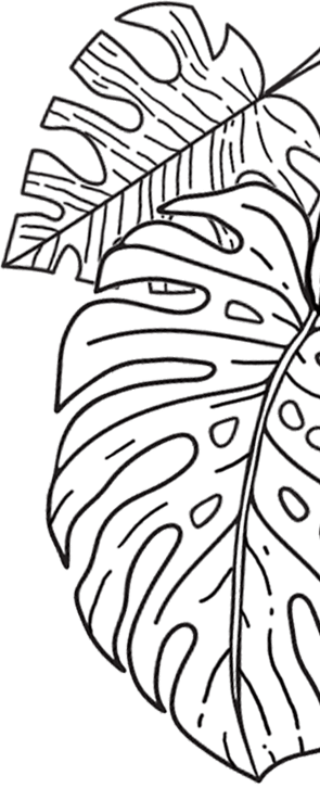 Bloom Republic liść