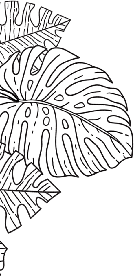 Bloom Republic liść