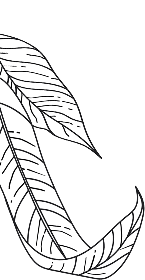 Bloom Republic liść