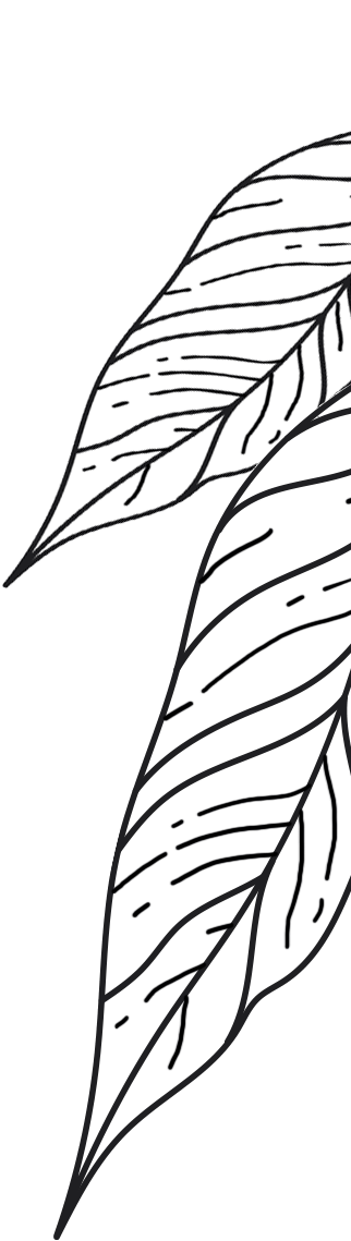 Bloom Republic liść