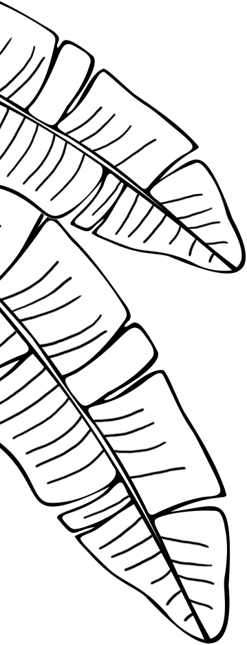 Bloom Republic liść